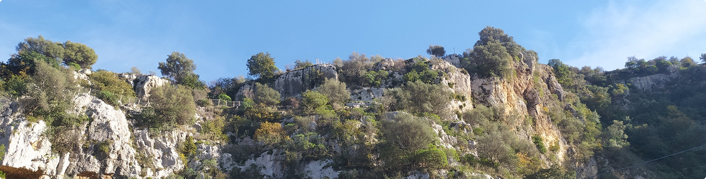 Pareti di roccia calcarea coperte di macchia mediterranea